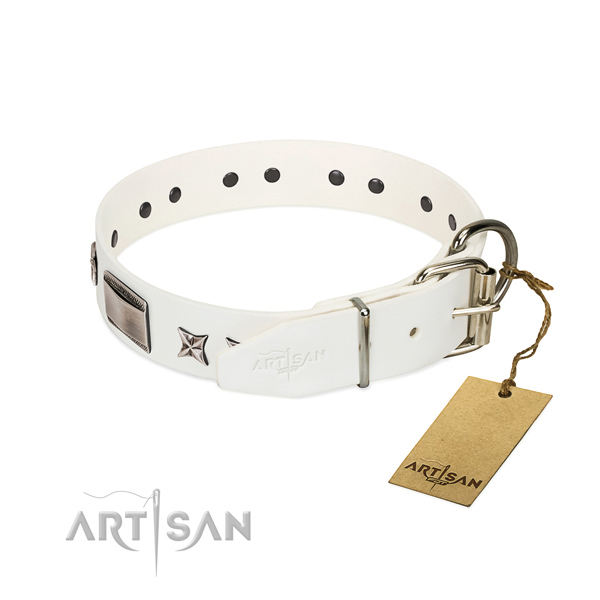 Amazing collar of full grain genuine leather for your handsome doggie