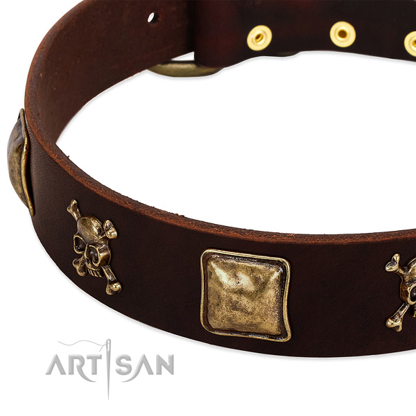 Reliable full grain natural leather dog collar with stunning studs