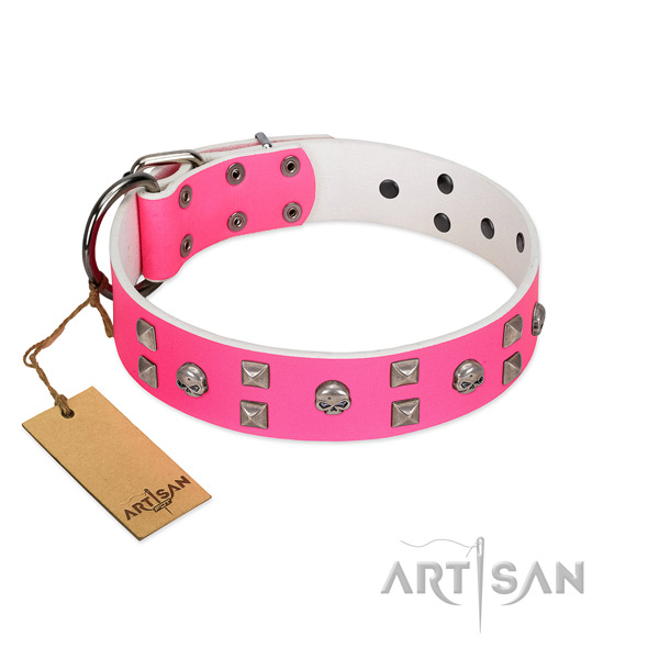 Incredible full grain leather dog collar for daily use