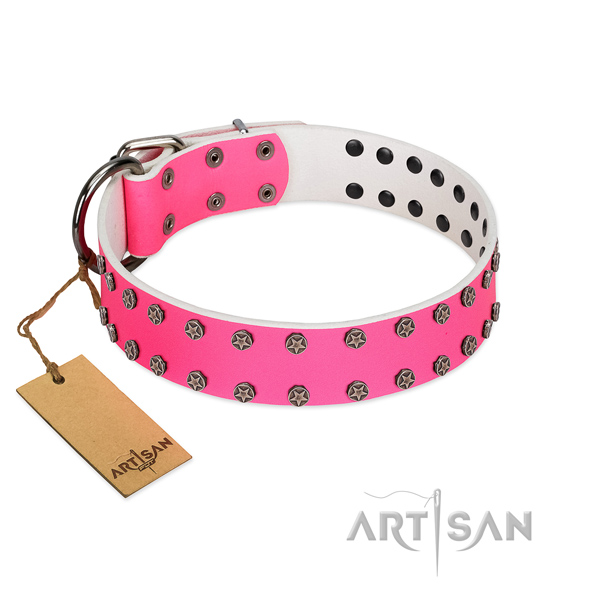 Everyday use full grain genuine leather dog collar with exceptional studs