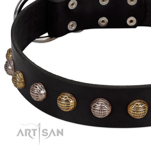 Leather dog collar with rust-proof hardware and embellishments