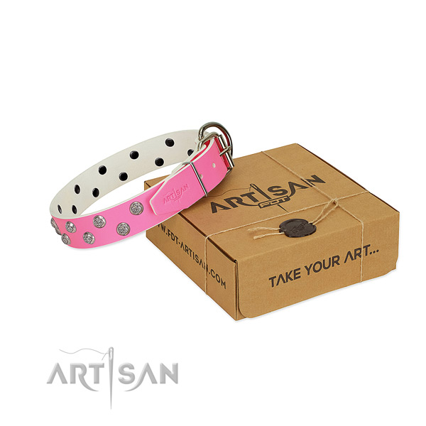 Strong traditional buckle on full grain natural leather dog collar for handy use