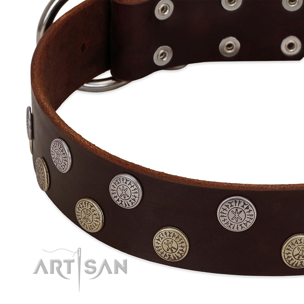 Reliable full grain genuine leather dog collar with adornments for your stylish pet