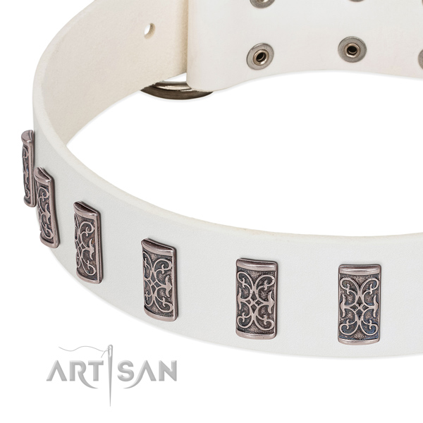 Stunning genuine leather collar for your four-legged friend stylish walking