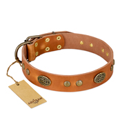 "Sun Beams" FDT Artisan Tan Leather Pitbull Collar with Decorations