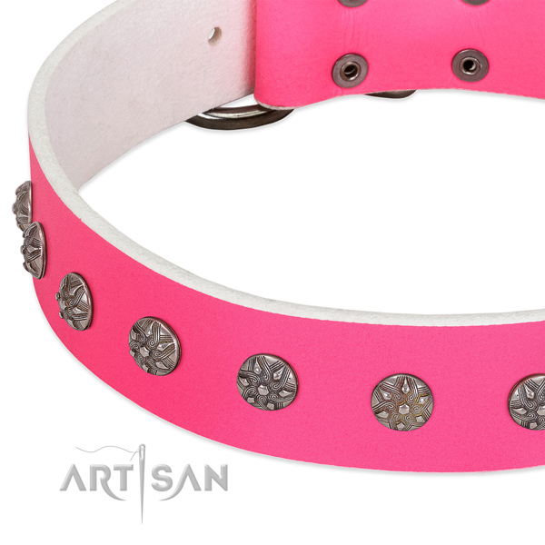 Quality natural leather dog collar with studs for your four-legged friend