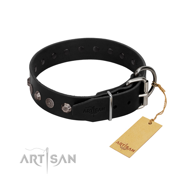 Corrosion resistant buckle on full grain natural leather dog collar for everyday use