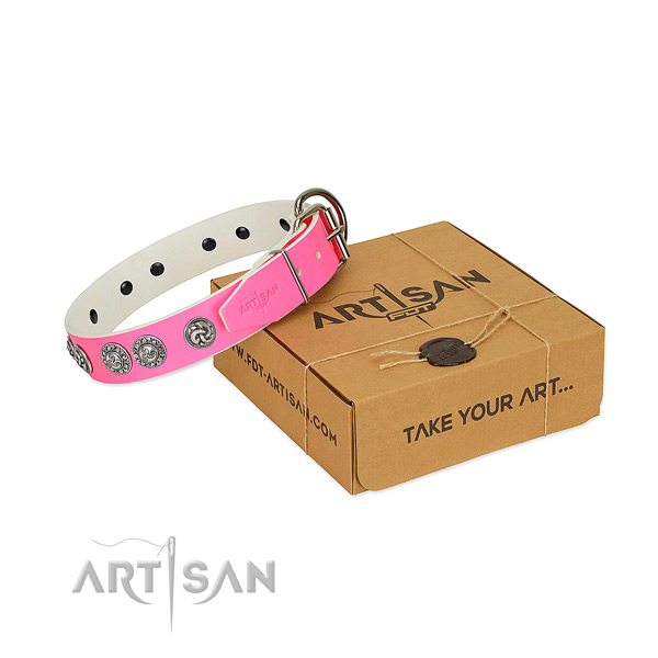 Top notch full grain leather collar for your pet stylish walks