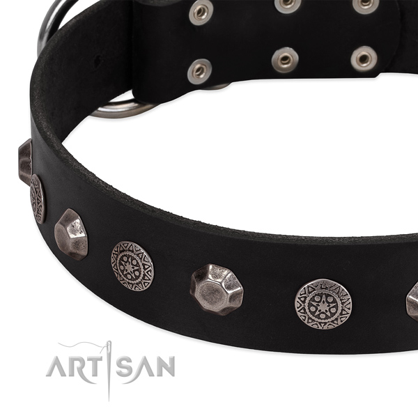 Perfect fit genuine leather dog collar for everyday use