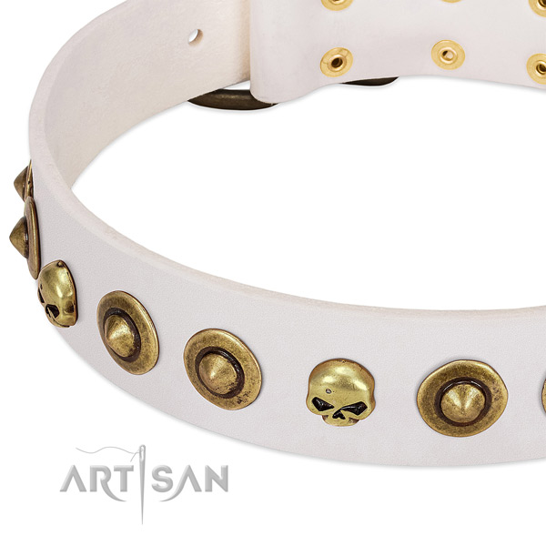Incredible decorations on full grain leather collar for your doggie