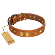 "Woofy Dawn" FDT Artisan Tan Leather Pitbull Collar with Plates and Rhombs