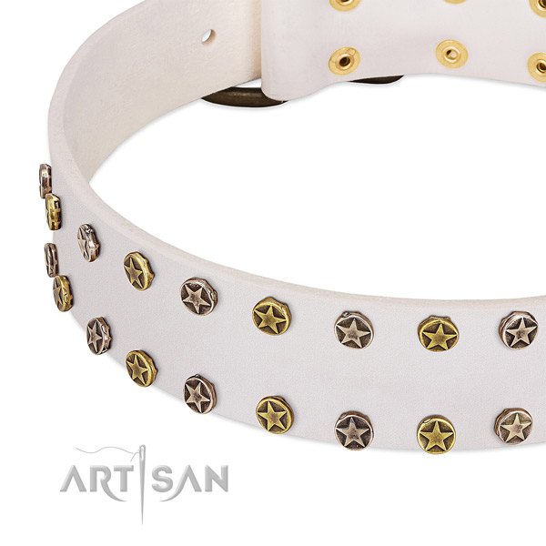 Impressive embellishments on full grain genuine leather collar for your four-legged friend