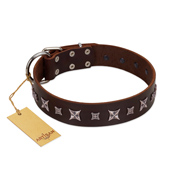 "Stellar Fairy " FDT Artisan Brown Leather Pitbull Collar with Chrome-plated Star-like Decorations
