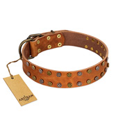 "Walk and Shine" FDT Artisan Tan Leather Pitbull Collar with Antiqued Studs