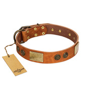 "Bronze Century" FDT Artisan Tan Leather Pitbull Collar with Plates and Brooches with Cool Ornament