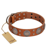 "Sun Rise Noon" FDT Artisan Tan Leather Pitbull Collar with Unique Design