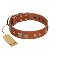 "Egyptian Gifts" Handmade FDT Artisan Tan Leather Pitbull Collar with Chrome-plated Pyramids
