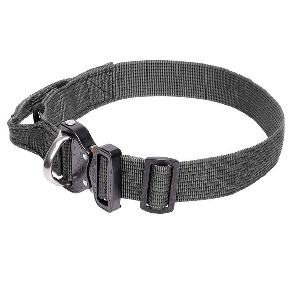 Nylon Dog Collar for Walking