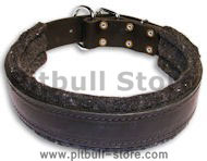 Leather Black collar 25'' for PITBULL /25 inch dog collar-C24