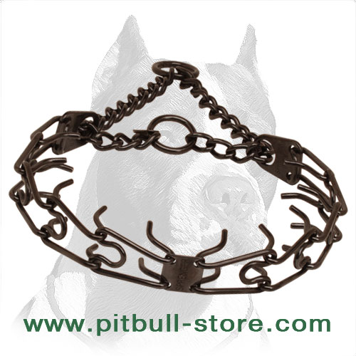 Black Dog Prong Collar Made of Stainless Steel