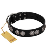"Magic Amulete" Handcrafted FDT Artisan Black Leather Pitbull Collar with Chrome-Plated Shields