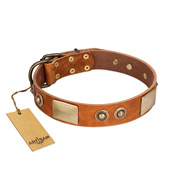 "Perfect Blend" FDT Artisan Tan Leather Pitbull Collar 1 1/2 inch (40 mm) wide