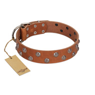 "Waltz of the Flowers" Handmade FDT Artisan Tan Leather Pitbull Collar with Chrome-plated Engraved Studs