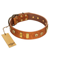 "Egyptian Script" FDT Artisan Tan Leather Pitbull Collar with Plates and Small Studs