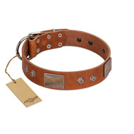 "Great Obelisk" Handcrafted FDT Artisan Tan Leather Pitbull Collar with Large Plates and Pyramids