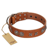 "Splendid Armor" Premium Quality FDT Artisan Tan Designer Pitbull Collar with Shields and Stars