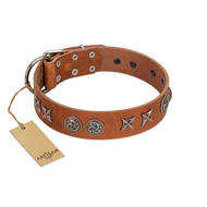 "Brave Spirit" Handmade FDT Artisan Designer Tan Leather Pitbull Collar with Shields