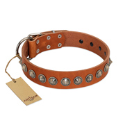 "Silver Spike" Handmade FDT Artisan Tan Leather Pitbull Collar with Old Silver-Like Spikes