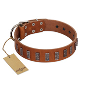 "Silver Century" Fashionable FDT Artisan Tan Leather Pitbull Collar with Silver-Like Plates