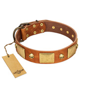 "Mutt The Daredevil" FDT Artisan Tan Leather Pitbull Collar with Old Bronze-like Skulls and Plates