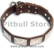 PITBULL Personalized Brown dog collar 19inch/19'' collar - c83