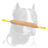 Big-Sized Pibull Training Dog Bite Tug