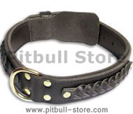 Leather dog collar 20 inch up to 28 inch neck size (50 cm-72cm)