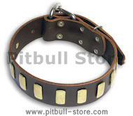 PITBULL Quality Brown dog collar 20 inch/20'' collar - S33p