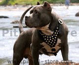 Pitbull Dog Harnesses,leather dog harness