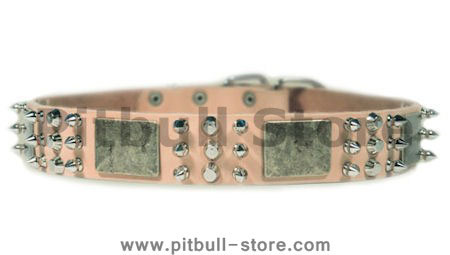 Tan Spiked Dog Collar for Pitbull