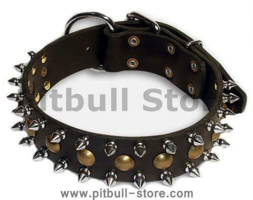 pitbull spiked dog collar with studs