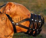Pitbull Dog Muzzle,wire basket dog muzzle