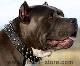 Pitbull Dog Collars,leather dog collars,nylon dog collars,leather spiked dog collars