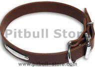 PITBULL Classic Brown collar 22'' /22 inch dog collar -C456