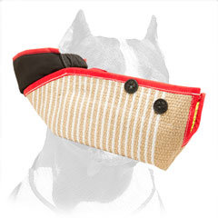 Excellent Quality Pitbull Puppy Training Sleeve