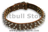 PITBULL Spiked Brown collar 23'' /23 inch dog collar - S44