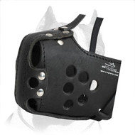 Strong Pitbull Muzzle for Agitation Training