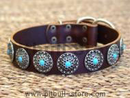 dog collar