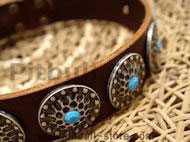 dog collar