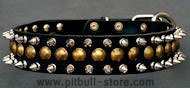 Studded (1 row) and Spiked (2 rows) Leather Dog Collar